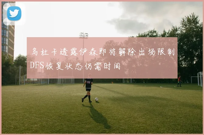 乌杜卡透露伊森即将解除出场限制DFS恢复状态仍需时间