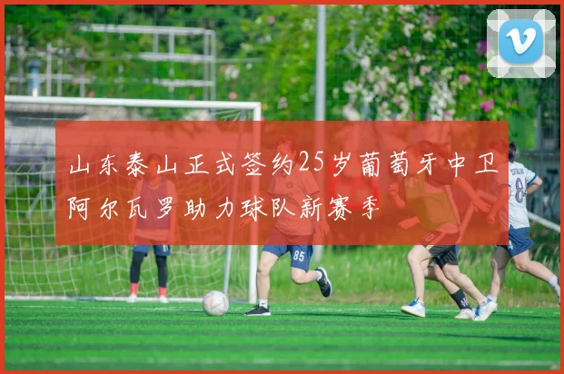 山东泰山正式签约25岁葡萄牙中卫阿尔瓦罗助力球队新赛季