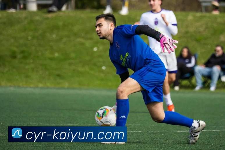 开云足球APP 封面图